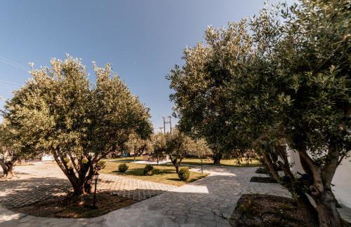 Cyclades Luxury Studios - Foto 51