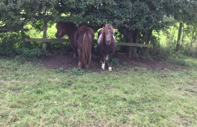 Impeccable Cottage Suitable for 2 Adults & 1 Child - Foto 28