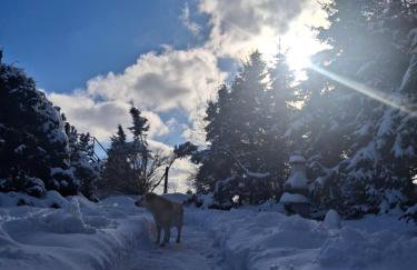 Pod Wierzbą Apartament na Kaszubach - Foto 32