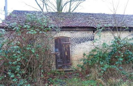 FeWo "Falter" im Kunstgut Krahne - Foto 30