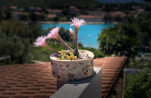 Apartmani Roxy - Foto 10