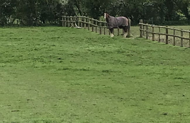 Lower Buckton Country House - Sleeps 12 - Foto 35