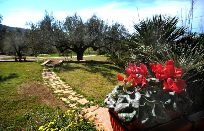 Barnìa - Agriturismo - Photo 38