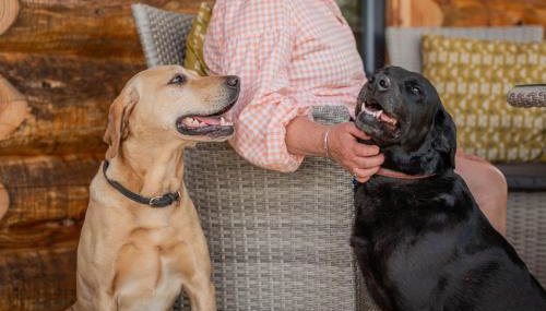 Willow - Tedstone Log Cabins - Foto 3