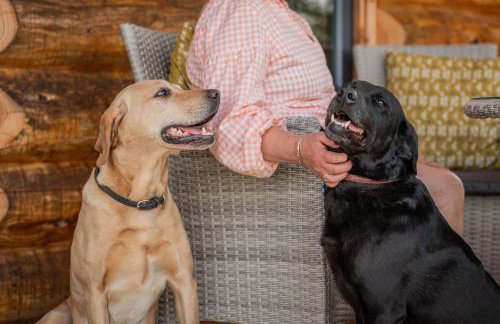 Willow - Tedstone Log Cabins - Foto 3