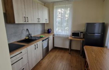 Beskidek SZARY DOMEK - Foto 12