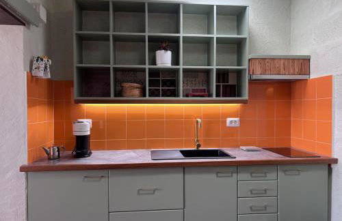 La Bodega de Florencio - Foto 4