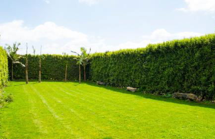 Quinta do Torcaz - Foto 95