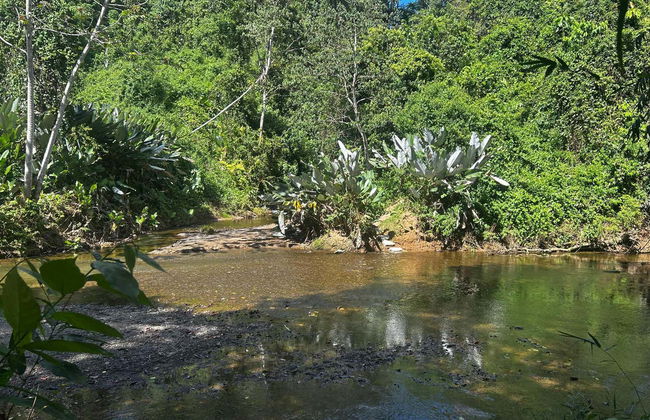 Excursion de 1 ou 2 jours au domaine Rio Agujitas - Photo 6