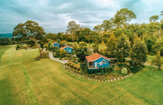 Outlook Hill Vineyard Cottages - Foto 44