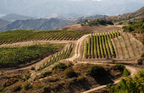 Oja Mountain Ridge - Foto 2