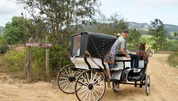 Viñales Valley Carriage Ride - Foto 4