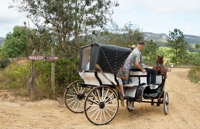 Viñales Valley Carriage Ride - Photo 4