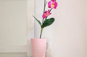 Panorama Studios - Foto 22