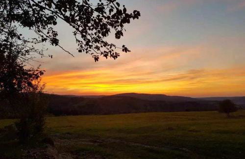 Jabłoniowy Sad Kalwaria Pacławska - Foto 25