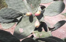 Apartamento de Cine - Photo 22