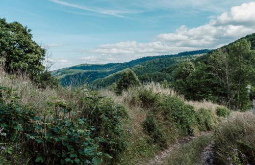 Willa Juszczyn - Foto 49