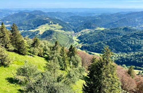 Ferienwohnung zur Bierliebe - Mit toller Aussicht im Herzen des Schwarzwaldes - Foto 56