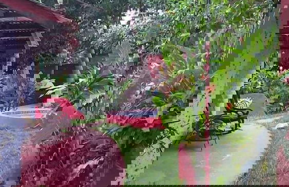 Apartamentos Massai - Foto 75