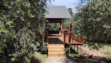 Sorelle Biologiche - Photo 5