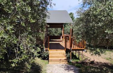 Sorelle Biologiche - Photo 5