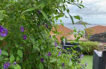 Portas do Ilhéu - Foto 42