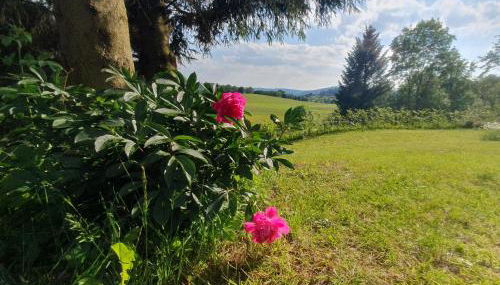 Ferienhaus Beerberg - Photo 2