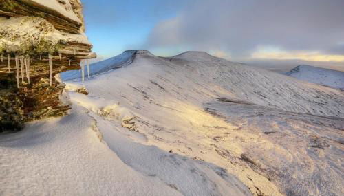 James' Place @ The Park - Photo 2