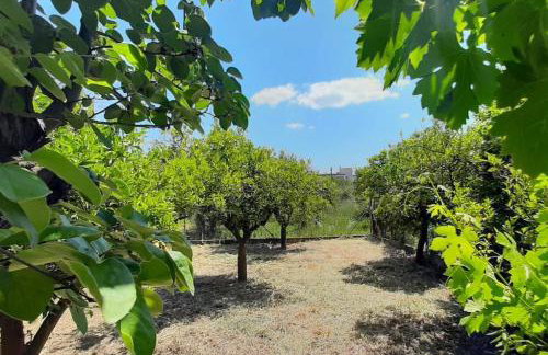 King AGIS 2 - Foto 37