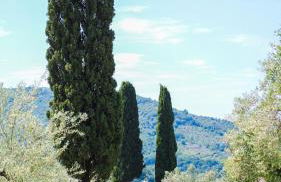 Tenuta Colfiorito - Foto 53