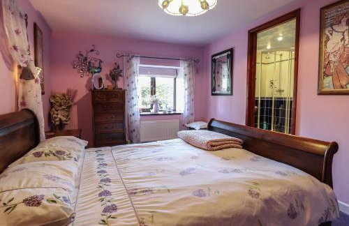 Hafoty Boeth Cottage - Foto 10