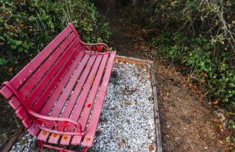 Surfcrest Resort - Foto 65