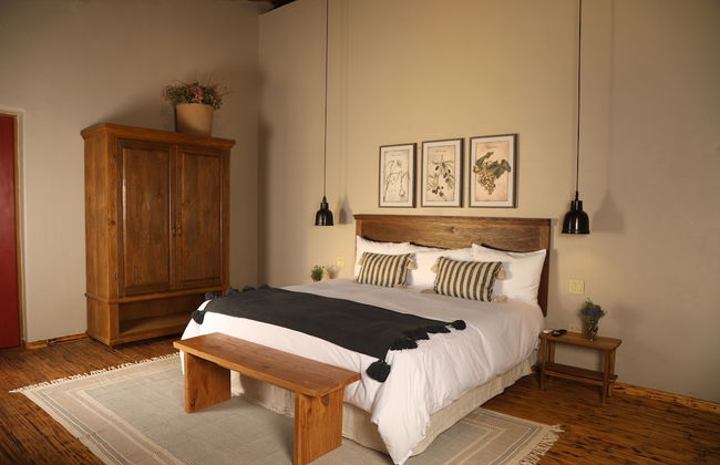 Alma Liebre Viñedos del Valle - Foto 14