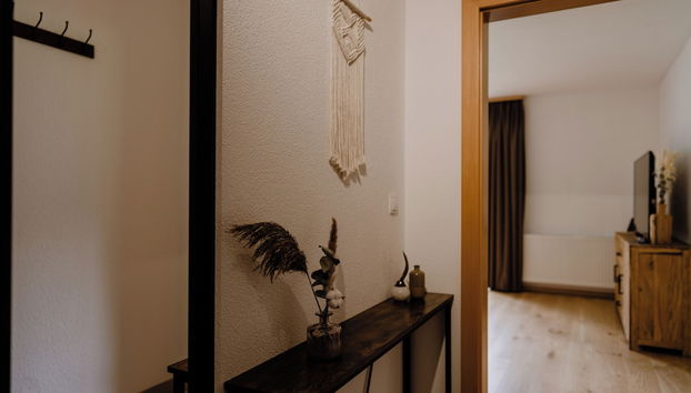 Apart Peak Ötztal - Foto 5, Entrada interior