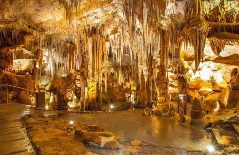 Stella Bianca - Foto 50