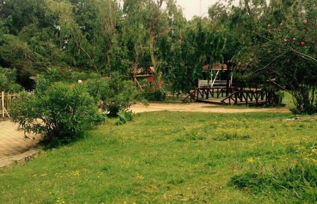 Ranch Le Montcel - Photo 28