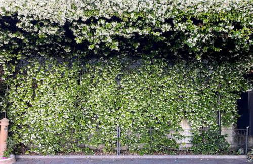 Miniappartamento Il Gelsomino - Foto 4