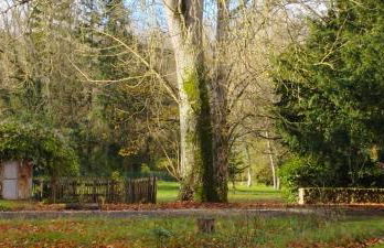 Domaine du Château de Lailly en Val - Photo 18