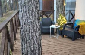 Przystań Kormoran - Foto 10