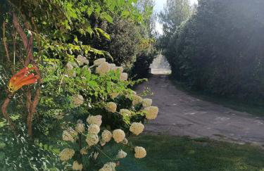 Agroturystyka Sosnowy Gaik - Foto 29