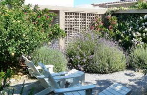 Red Tractor Farm - Foto 1