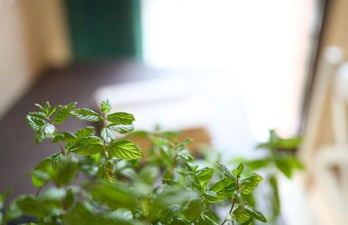 Il Casolare Punto Fiore - Foto 26