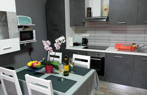 Apartmani Ani - Foto 42