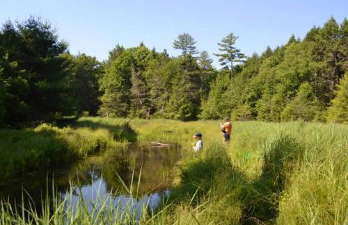 Little Birds Treehouse - Foto 4