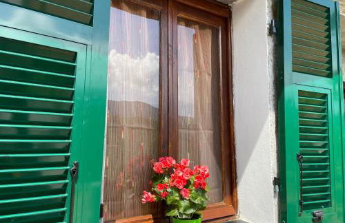 Casa di nonno Memé CITRA 008035-LT-0018 - Photo 35