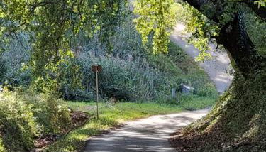 l'éden des Baronnies gîte1 - Foto 4