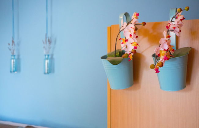 Victorious VIScovery Red - Foto 35