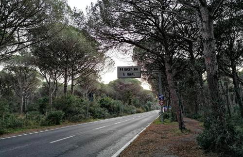 Stella Marina - Foto 21