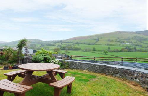 Arllen Fawr - Foto 17