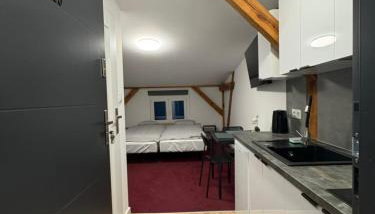 Apartamenty Stary Młyn - Foto 3, stove